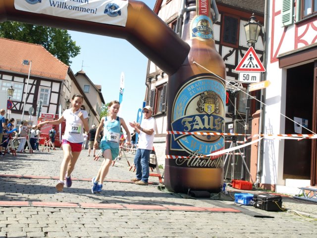BFL 2018